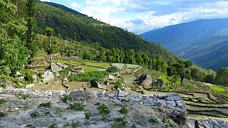 2015 - Frisch bepflanzte Reis-Terassenfelder - Ost-Nepal: Landschaft