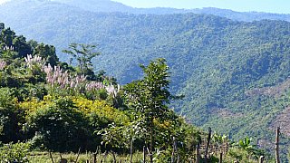 Landschaft auf der Tageswanderung zum Chin Dorf Pu Kun - West-Myanmar: Landschaft